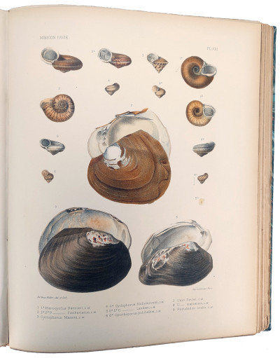 Mission Pavie Indo-Chine. 1879-1895. Études diverses. III. Recherches sur l'histoire naturelle de l'Indo-Chine naturelle. Avec une carte, 13 planches en couleurs et 28 planches ou illustrations en noir. 