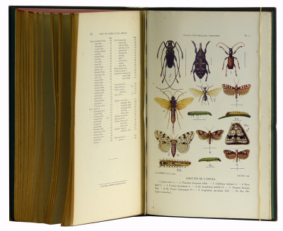Traité d’entomologie forestière à l’usage des forestiers, des reboiseurs et des propriétaires de bois. 