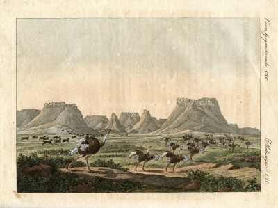 Portefeuille des enfants. Mélange intéressant d'Animaux, Plantes, Fleurs, Fruits, Minéraux, Costumes, Antiquités et d'autres Objets instructifs et amusants pour la Jeunesse ; choisis et gravés sur les meilleurs originaux, avec de courtes Explications scientifiques et proportionnées à l'entendement d'un Enfant. - Bilderbuch für Kinder. 