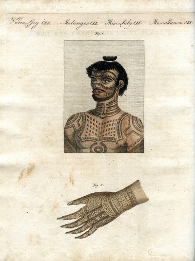 Portefeuille des enfants. Mélange intéressant d'Animaux, Plantes, Fleurs, Fruits, Minéraux, Costumes, Antiquités et d'autres Objets instructifs et amusants pour la Jeunesse ; choisis et gravés sur les meilleurs originaux, avec de courtes Explications scientifiques et proportionnées à l'entendement d'un Enfant. - Bilderbuch für Kinder. 