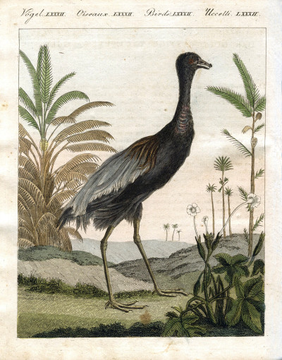 Portefeuille des enfants. Mélange intéressant d'Animaux, Plantes, Fleurs, Fruits, Minéraux, Costumes, Antiquités et d'autres Objets instructifs et amusants pour la Jeunesse ; choisis et gravés sur les meilleurs originaux, avec de courtes Explications scientifiques et proportionnées à l'entendement d'un Enfant. - Bilderbuch für Kinder. 