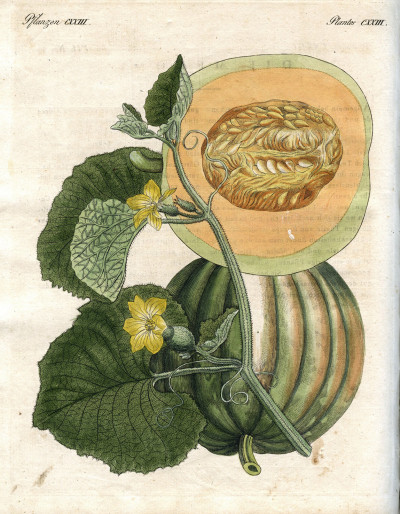 Portefeuille des enfants. Mélange intéressant d'Animaux, Plantes, Fleurs, Fruits, Minéraux, Costumes, Antiquités et d'autres Objets instructifs et amusants pour la Jeunesse ; choisis et gravés sur les meilleurs originaux, avec de courtes Explications scientifiques et proportionnées à l'entendement d'un Enfant. - Bilderbuch für Kinder. 