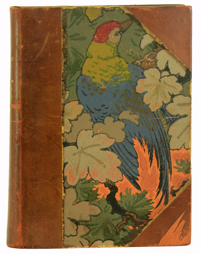 L'Art dans la Décoration extérieure des Livres. Les Couvertures illustrées, les Cartonnages d'Éditeurs, la Reliure d'Art. 