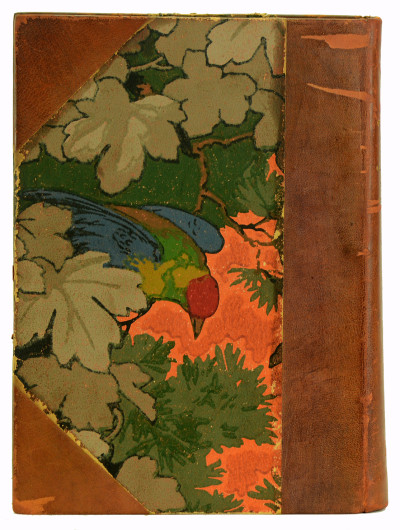 L'Art dans la Décoration extérieure des Livres. Les Couvertures illustrées, les Cartonnages d'Éditeurs, la Reliure d'Art. 