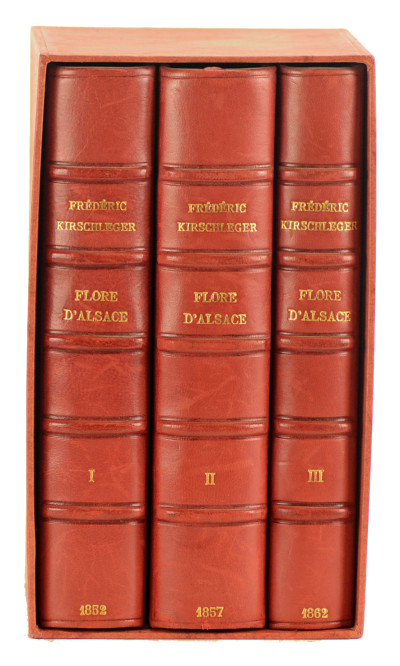 Flore d'Alsace et des contrées limitrophes. 