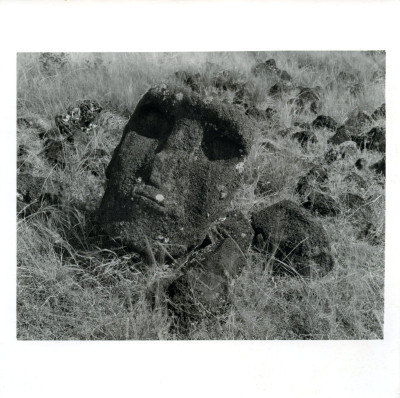 Le Voyage immobile. Une photographie de François Sagnes. 