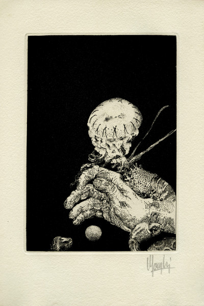 Le K. Frontispice de Carzou. Illustrations de Michel Houplain. 