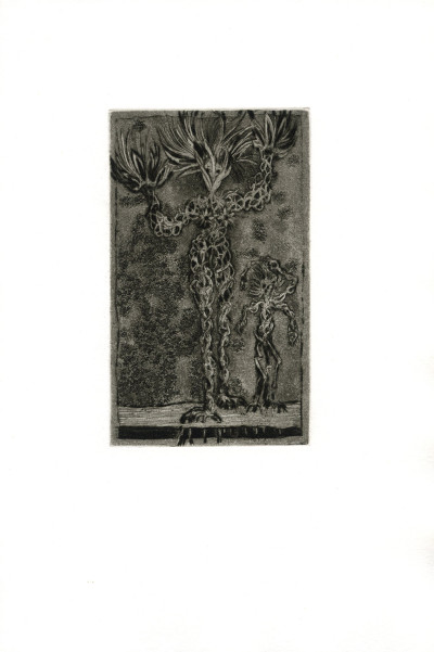 La Fille de Rappaccini. Traduction d’Henri Parisot. Frontispice de Lars Bo. Eaux-fortes de François Houtin. 