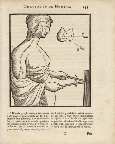 Tractatus de homine, et de formatione foetus. Quorum prior notis perpetuis Ludovici de La Forge, M.D. illustratur. 