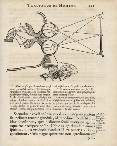 Tractatus de homine, et de formatione foetus. Quorum prior notis perpetuis Ludovici de La Forge, M.D. illustratur. 
