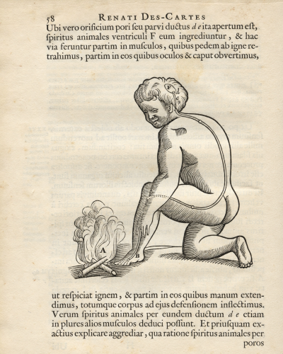 Tractatus de homine, et de formatione foetus. Quorum prior notis perpetuis Ludovici de La Forge, M.D. illustratur. 