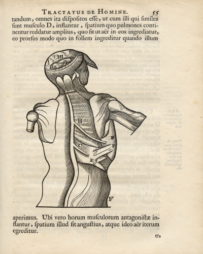 Tractatus de homine, et de formatione foetus. Quorum prior notis perpetuis Ludovici de La Forge, M.D. illustratur. 