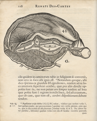 Tractatus de homine, et de formatione foetus. Quorum prior notis perpetuis Ludovici de La Forge, M.D. illustratur. 