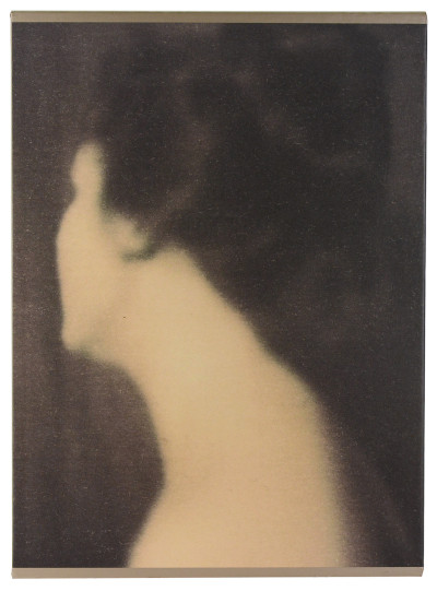 Les Contemplations, poèmes choisis. Illustrées par les débuts de la photographie (1826-1910). 