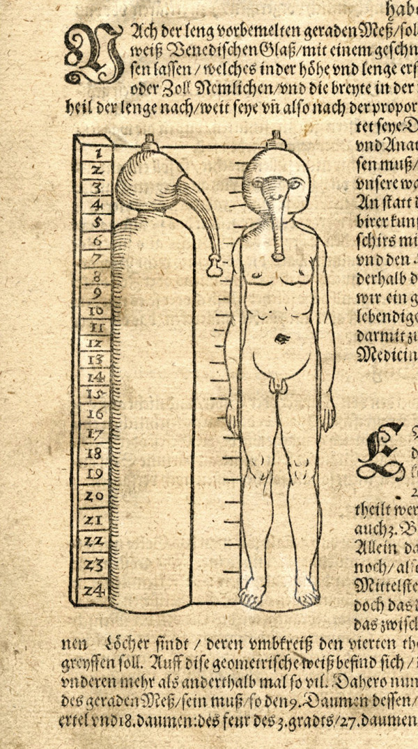 Chirurgische Bücher und Schrifften. Jetzt auffs New auß den Originalen, und Theophrasti eygenen Handtschrifften… an tag geben. 