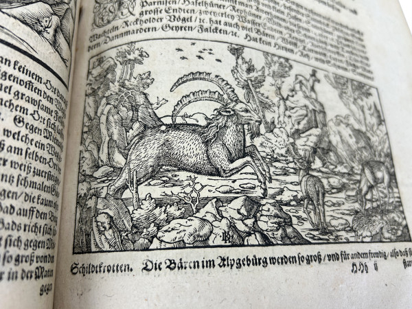 Cosmographia, das ist : Beschreibung der gantzen Welt, darinnen aller Monarchien, Keyserthumben, Königreichen, Fürstenthumben, Graff- und Herrschafften, Ländern… Auff das newe übersehen und mit vielerley nothwendigen Sachen trefflich vermehrt. 