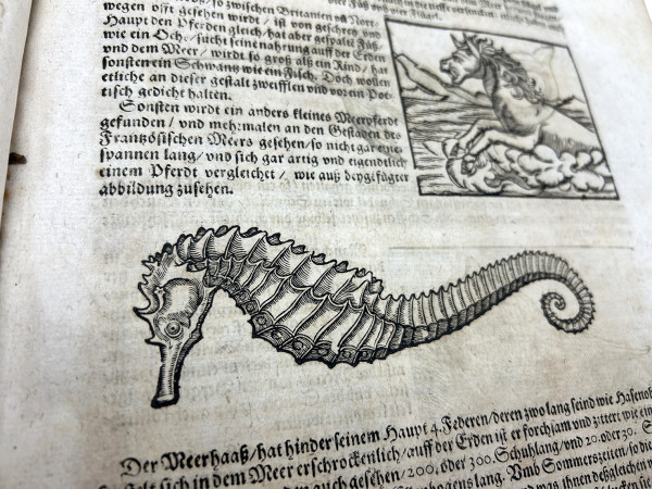 Cosmographia, das ist : Beschreibung der gantzen Welt, darinnen aller Monarchien, Keyserthumben, Königreichen, Fürstenthumben, Graff- und Herrschafften, Ländern… Auff das newe übersehen und mit vielerley nothwendigen Sachen trefflich vermehrt. 