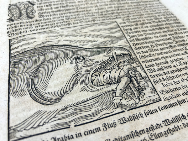 Cosmographia, das ist : Beschreibung der gantzen Welt, darinnen aller Monarchien, Keyserthumben, Königreichen, Fürstenthumben, Graff- und Herrschafften, Ländern… Auff das newe übersehen und mit vielerley nothwendigen Sachen trefflich vermehrt. 