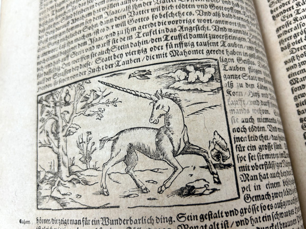 Cosmographia, das ist : Beschreibung der gantzen Welt, darinnen aller Monarchien, Keyserthumben, Königreichen, Fürstenthumben, Graff- und Herrschafften, Ländern… Auff das newe übersehen und mit vielerley nothwendigen Sachen trefflich vermehrt. 