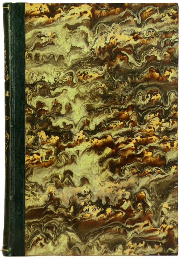 Saverne et ses environs. Illustrés par Eugène Laville, avec dessins d'architecture par M. Mæstlé. 