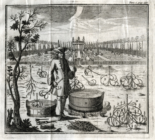L'agriculture parfaite, ou nouvelle découverte, touchant la culture & la multiplication des arbres, des arbustes, et des fleurs ; Ouvrage fort curieux, qui renferme les plus beaux secrets de la nature, pour aider la végétation de toutes sortes d'arbres & de plantes, & pour rendre fertile le terroir le plus ingrat. Traduit de l'allemand avec des remarques. Le tout enrichi de très belles figures. 