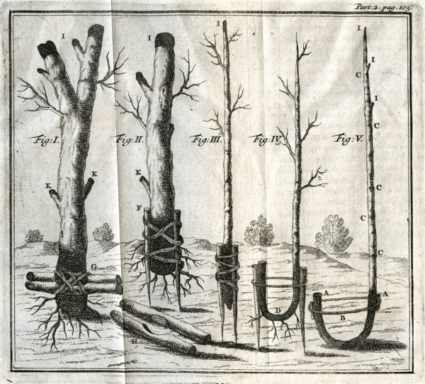 L'agriculture parfaite, ou nouvelle découverte, touchant la culture & la multiplication des arbres, des arbustes, et des fleurs ; Ouvrage fort curieux, qui renferme les plus beaux secrets de la nature, pour aider la végétation de toutes sortes d'arbres & de plantes, & pour rendre fertile le terroir le plus ingrat. Traduit de l'allemand avec des remarques. Le tout enrichi de très belles figures. 
