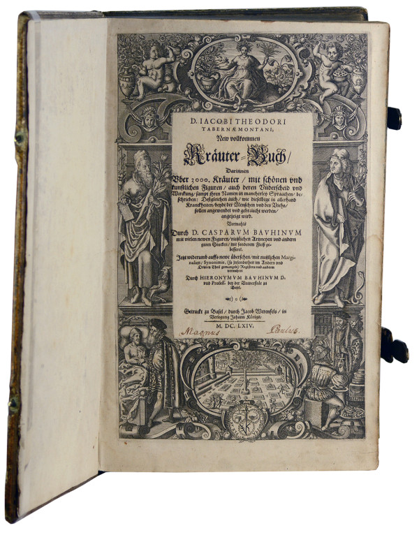 New vollkommen Kräuter-Buch, darinnen uber 3000 Kräuter, mit schönen und kunstlichen Figuren, auch deren Underscheid und Wirckung, sampt ihren Namen in mancherley Spraachen, beschrieben (…) vormahls durch (…) gebessert. Jetzt widerumb auffs newe übersehen (…) durch Hieronymum Bauhinum. Mit gest. figürlicher Titelbordüre und über 2400 Pflanzenholzschnitten. 