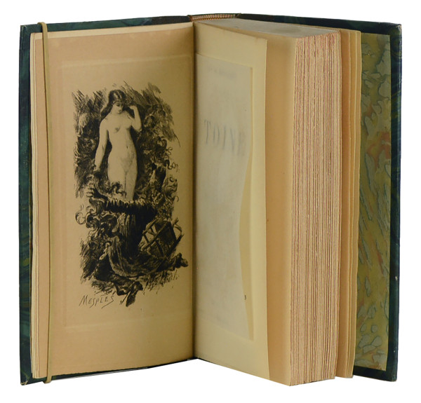 Toine. Illustrations de Mesplès. 