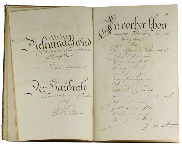 Inventarium über Weiland Frauen Margaretha Salome Nägelin gebohrne Nannreitherin, Herrn Georg Heinrich Nagels des Kunst-erfahrenen Klein-Uhrmachers und Bürgers allhier zu Straßburg, im Leben gewesene Frau Begattin, nunmehro seligen Vermögens-Nachlaßenschafft, aufgerichtet im Jahr 1783. 