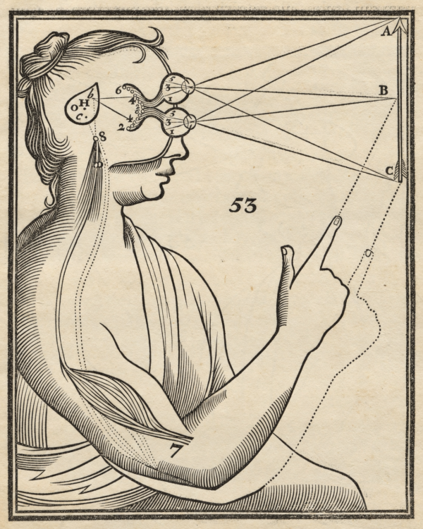 Tractatus de homine, et de formatione foetus. Quorum prior notis perpetuis Ludovici de La Forge, M.D. illustratur. 